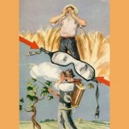 Casse Mutue Infortuni Agricoli